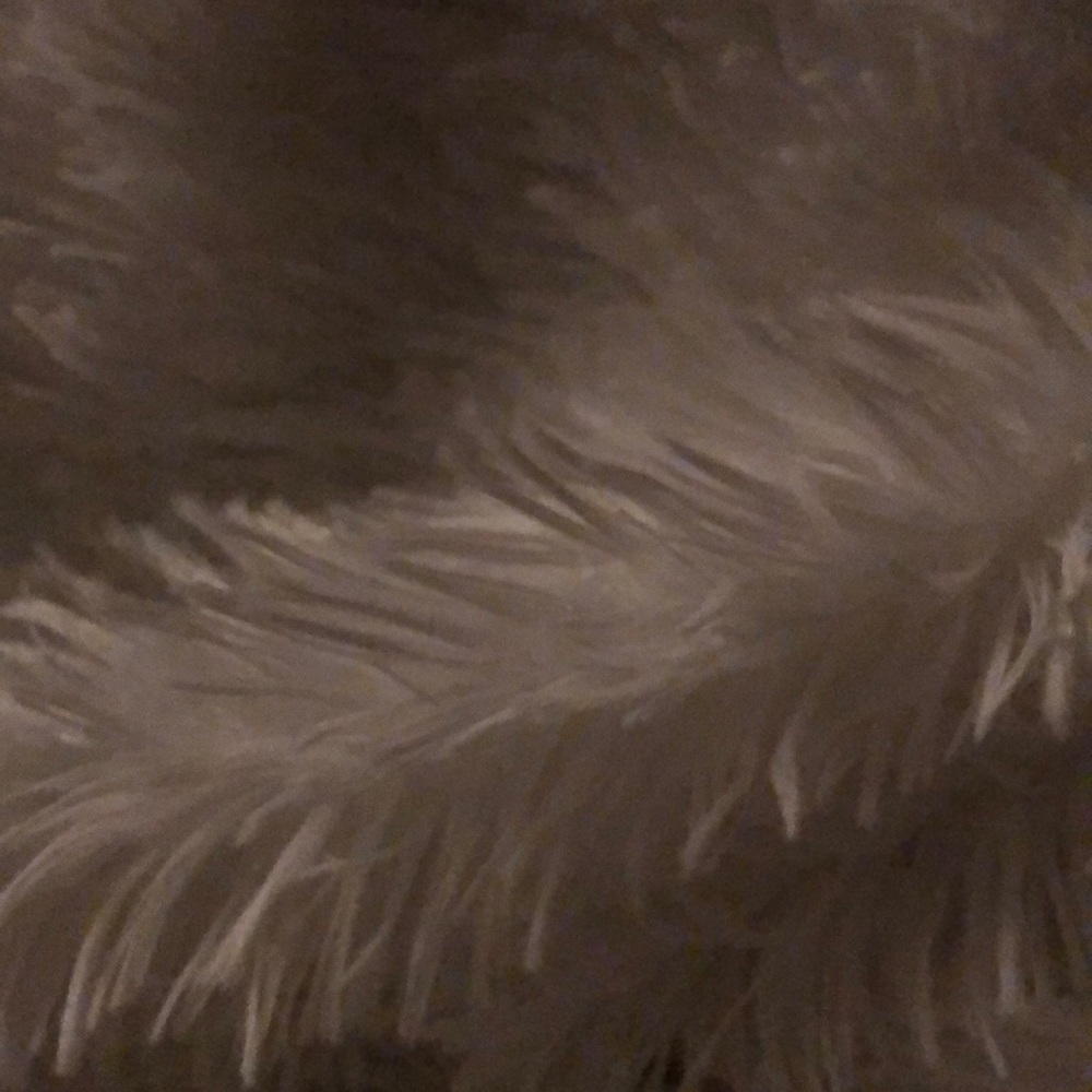 Meet your Posher, Susana